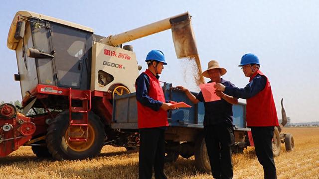 国网遂平县供电公司护航夏收用电