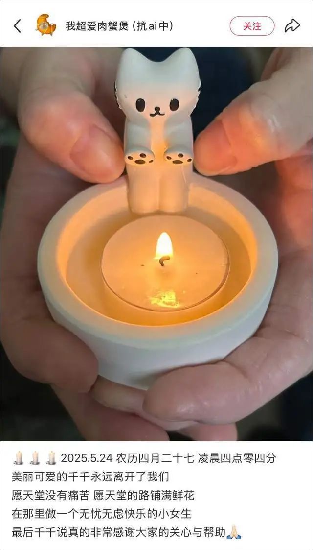 年仅25岁！知名抗癌博主去世，从确诊到离世不到两年，曾透露自己长期不爱吃早饭