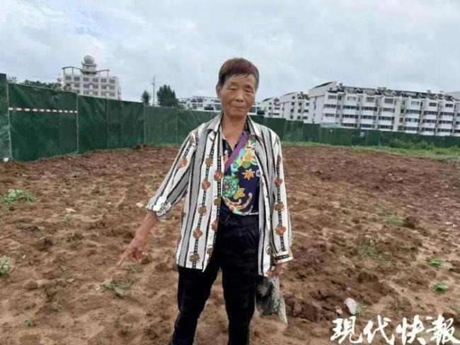 6名大姐种芝麻挖出千年文物 赤诚之心感动众人
