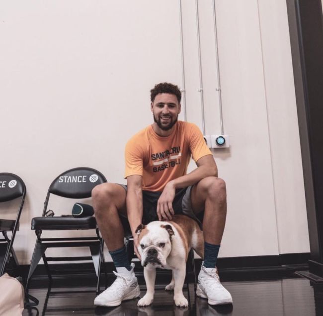克莱痛失爱犬！13岁Rocco已接受安乐死 可能是NBA最有名的小狗 告别挚友