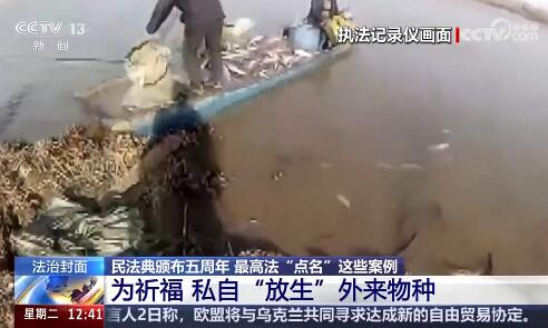QQ截图20250604153611