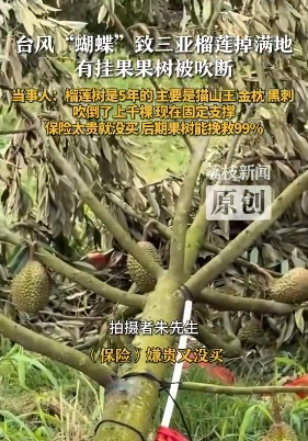 微信截图_20250617091749