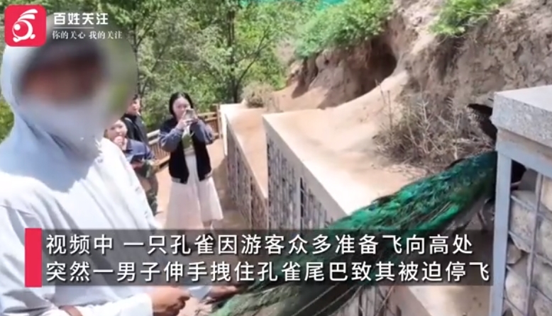 微信截图_20250620110408