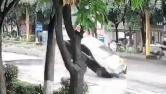 QQ截图20250624152600