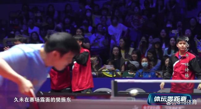 林诗栋说看樊振东打球很舒服 偶像魅力无限