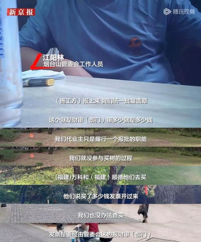 多方回应采购价80万每棵的树死多棵 天价树争议未决