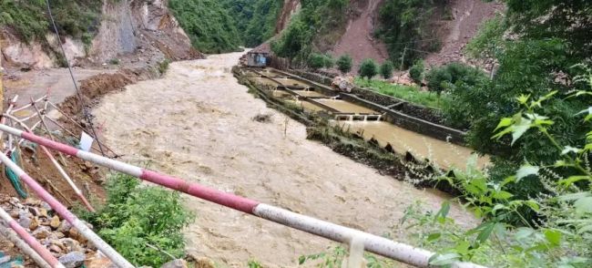 养殖基地遭河水倒灌数万斤鲟鱼被冲走 损失超百万