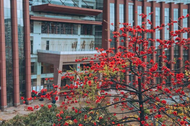 暨南大学今年扩招240人 新增专业与创新班