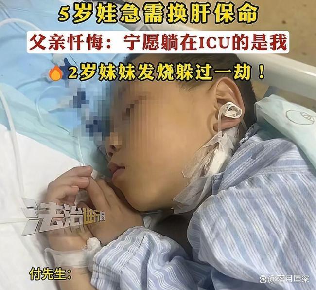 男童吃毒蘑菇去世 曾说爸爸别担心我 爸爸自责泪崩网友批评