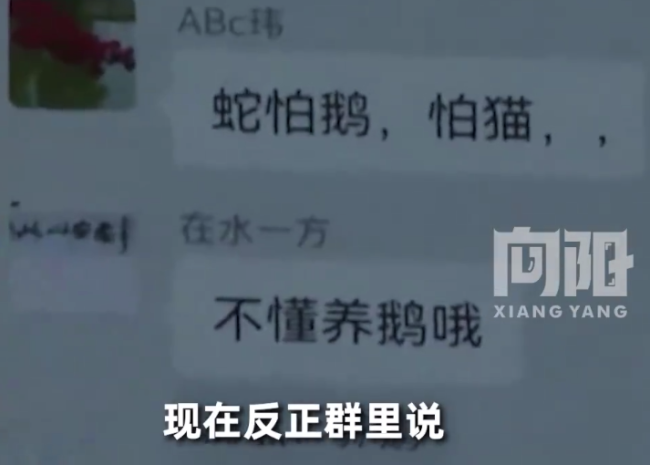 专家回应业主提议养鹅防蛇：有点用但不多