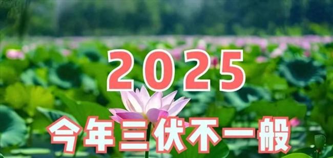 北京7月20日开贴三伏贴 高温预警与养生并行
