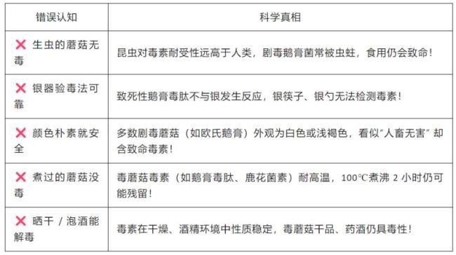 北京地区毒蘑菇安全防护指南 警惕“菇勇者”陷阱