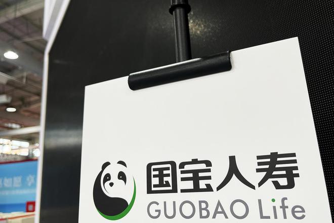 国资加码、女掌门挂帅！四川国宝人寿或迎新变局
