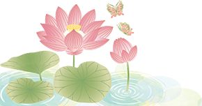 夏日限定！河南赏荷地图来了→