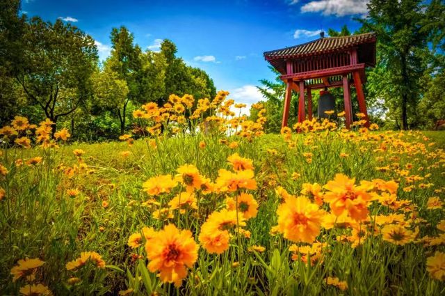 全国首条“司法+科普”绿色研学专线在河南西峡启航