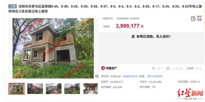 沈阳18栋别墅400万起拍，被执行人欠缴土地出让金和滞纳金九千万