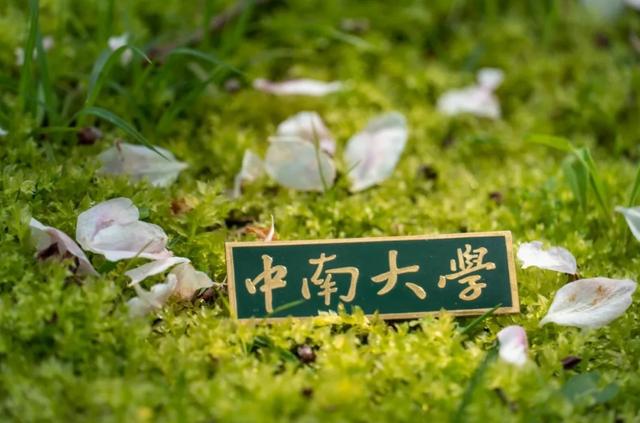 中南大学2025年本科招生章程 有这些新变化→