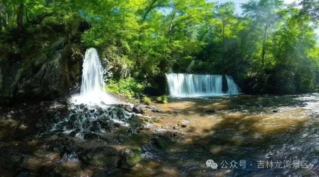 高考生，免费！最全整理→