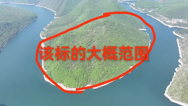 50万起拍一半岛的经营权，拍卖未开始就撤回，负责人：转线下渠道
