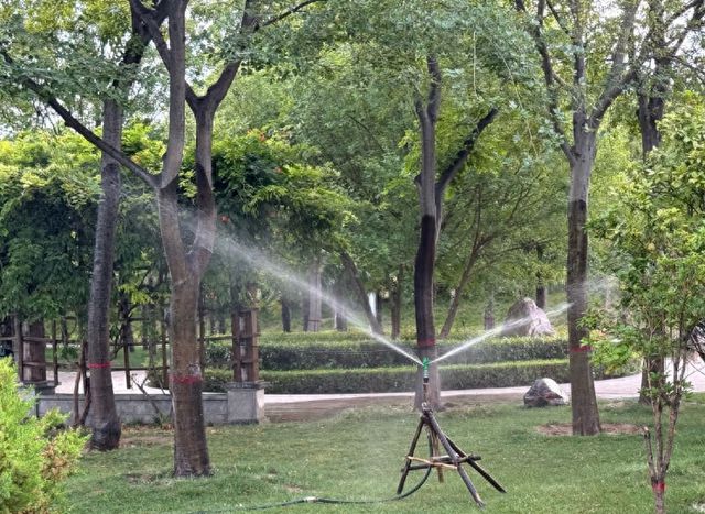 高温抗旱护绿 高新在行动