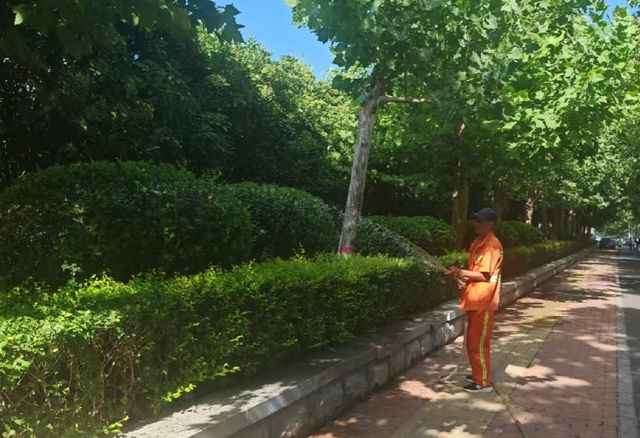 高温抗旱护绿 高新在行动