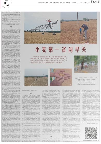 央媒看河南 | 关注河南县乡消费“焕新”记等内容
