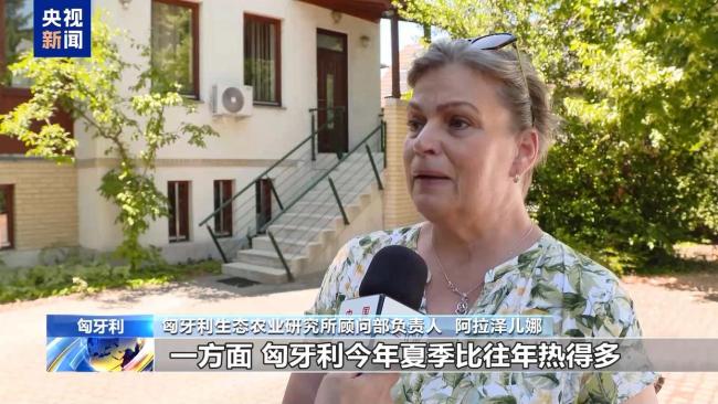 匈牙利高温干旱致农作物严重受灾