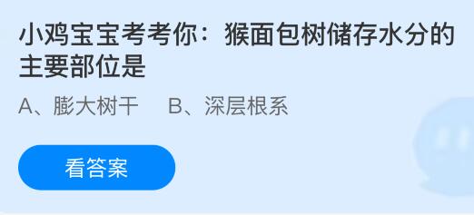 猴面包树储存水分的主要部位是哪？蚂蚁庄园课堂今天答案最新7月5日