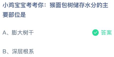 猴面包树储存水分的主要部位是哪？蚂蚁庄园课堂今天答案最新7月5日