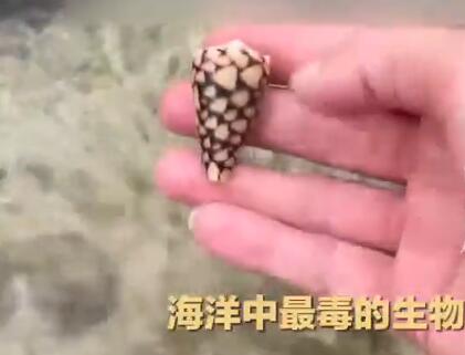 QQ截图20250707150839