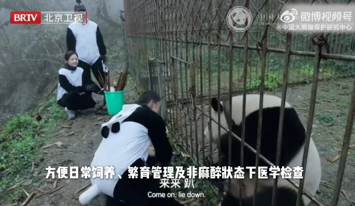 QQ截图20250707154710