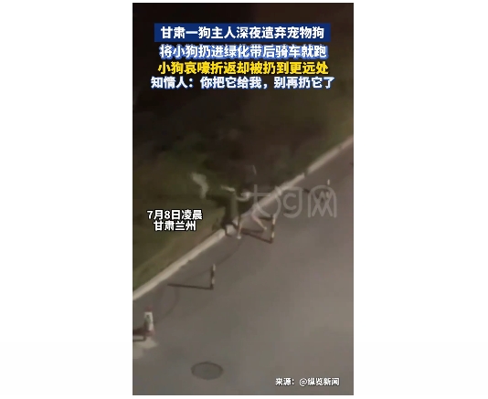 小狗