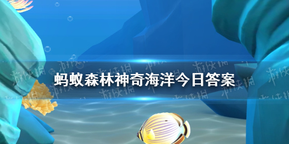 石花菜竟是红藻！神奇海洋7月21日答案揭晓
