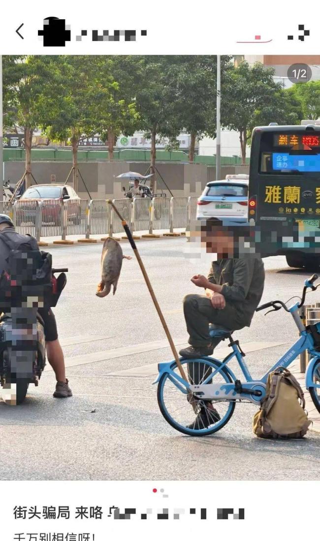 街头有人叫卖野生鳖 专家提醒 警惕外来物种风险