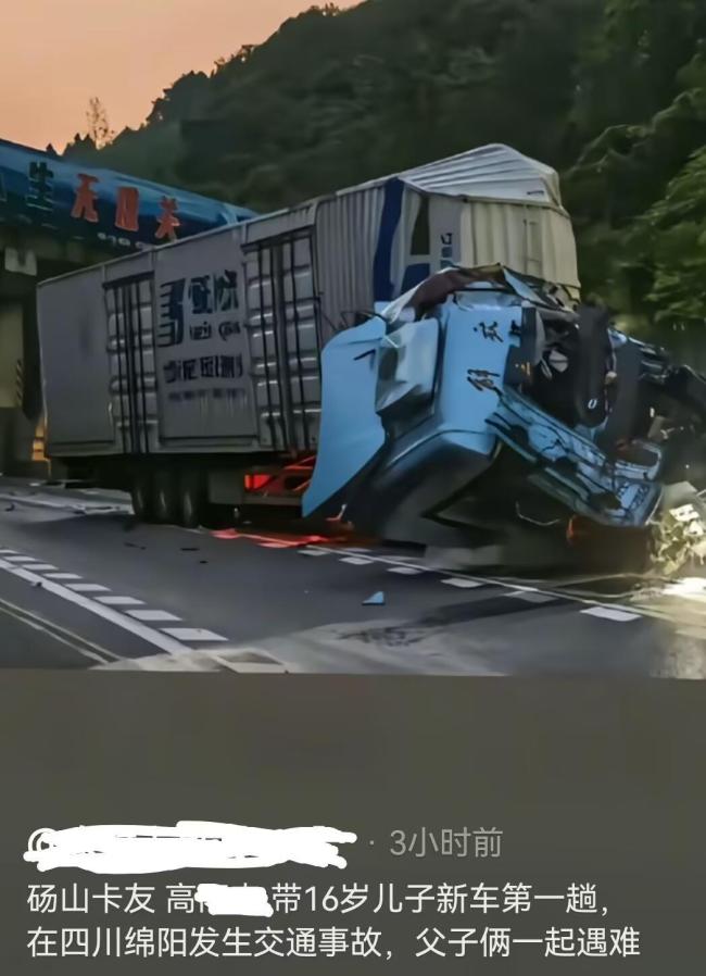 卡车司机带16岁儿子出车 双双遇难