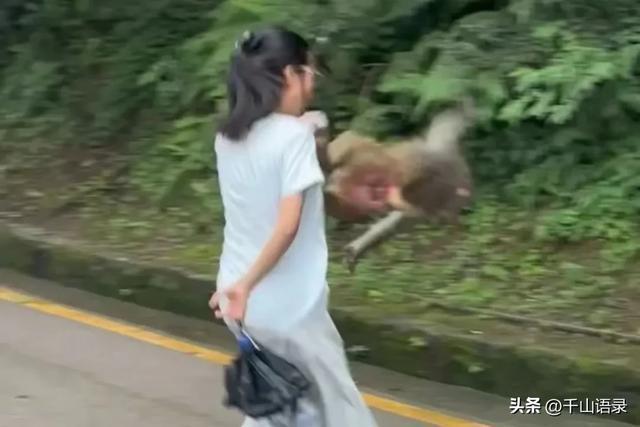 女游客投喂猴子反被咬伤腿部