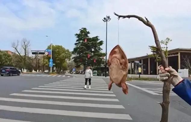 北京街头卖鳖骗局又现！三招教你防被坑