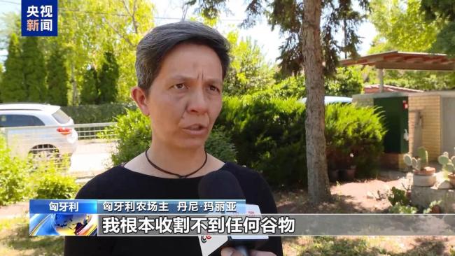 匈牙利高温干旱致农作物严重受灾 河流水量锐减加剧灾情