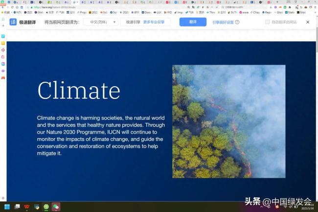 00后不平静的未来：热浪、洪水等气候灾难或将伴其一生