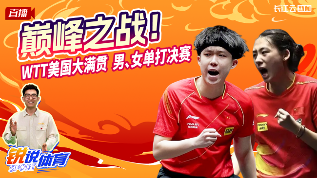 陪看WTT女单决赛