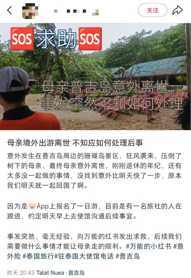 53岁女游客泰国被台风吹倒树木砸亡