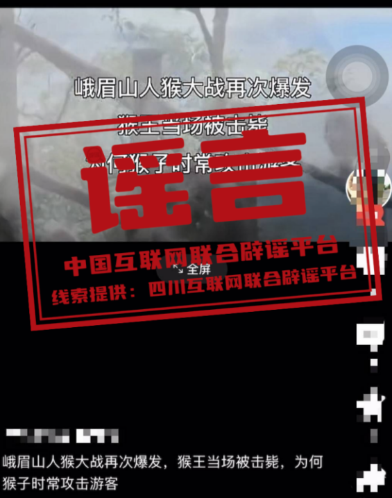 今日辟谣（2025年7月9日）