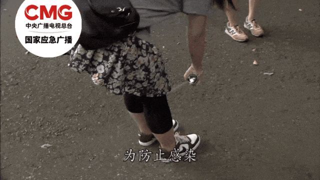 蚊子和人类有哪些“纠缠史”：蚊子位于“生物杀手”榜首