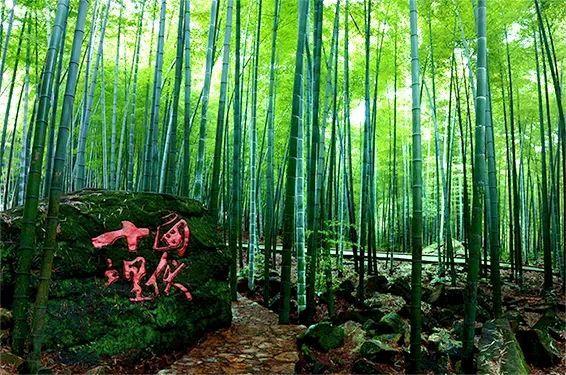 一座自带“电影滤镜”的城市 重庆也太出片了