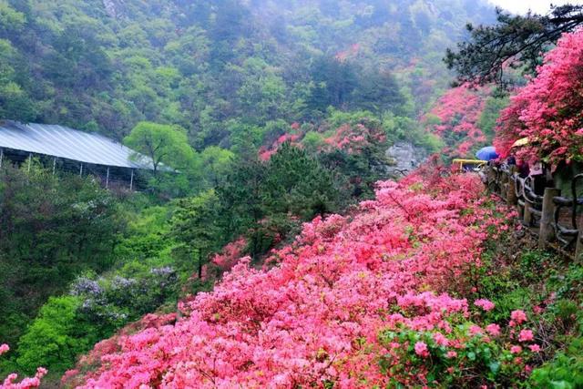 全国各省区最易读错的地名，据说90%的人都读错？