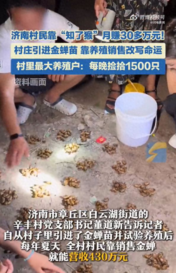 卖爆了！月入30多万元