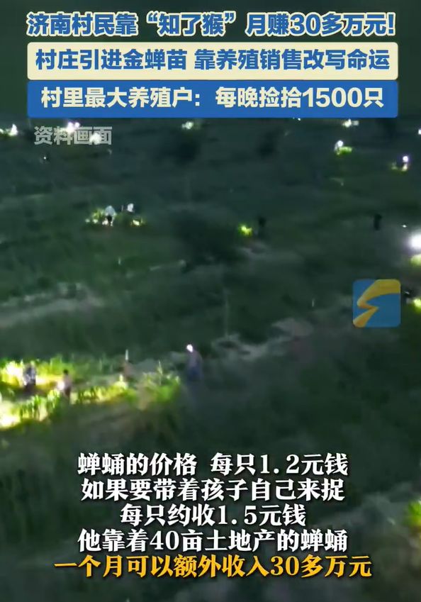 卖爆了！月入30多万元