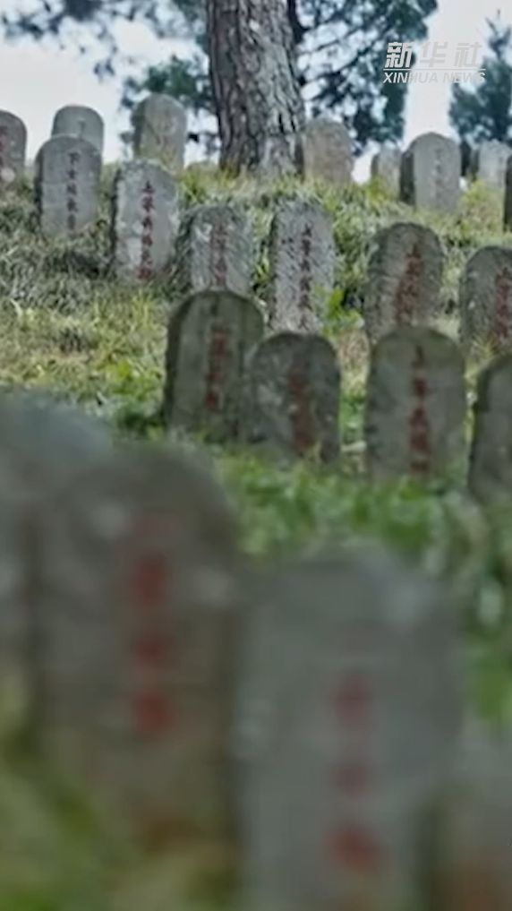 抗战英雄浩气长存｜戴安澜·马革裹尸的抗战将军