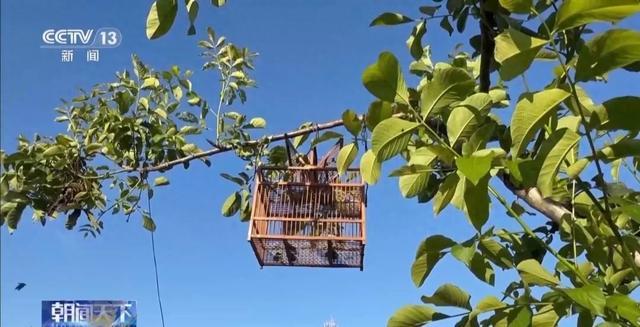 警示牌还是广告牌？国家二级保护动物被公开售卖