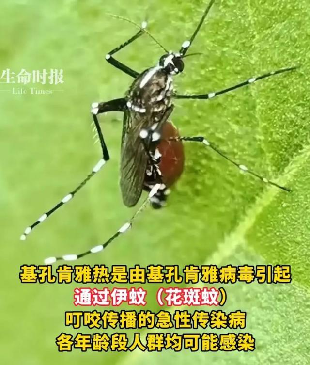 世卫最新警报：可能暴发大范围疫情！此地确诊3195例！